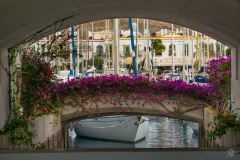 Port Flower Bridge Arch Background