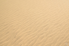 Sand Texture - High-quality free Photo from FreeArtBackgrounds.com