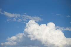 Sky with Cumulus Cloud Backgrounds  - High-quality free Photo from FreeArtBackgrounds.com
