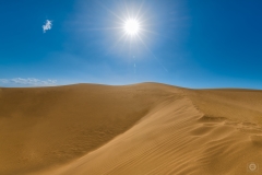 Sunny Desert Background  - High-quality free Photo from FreeArtBackgrounds.com