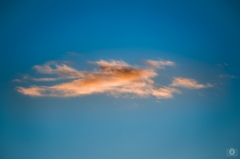 Sunrise Sky with Cloud Background  - High-quality free Photo from FreeArtBackgrounds.com
