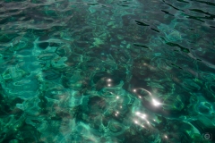 Tropical Sea Texture  - High-quality free Photo from FreeArtBackgrounds.com