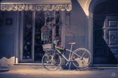 
Vintage Bicycle Background