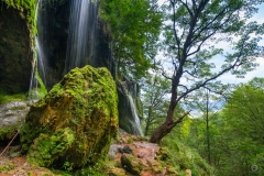 Waterfall in the Forest Background