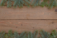 Wooden Background with Fir Tree Branches - High-quality free Photo from FreeArtBackgrounds.com