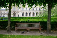 Wooden Park Bench and Ravens Background  - High-quality free Photo from FreeArtBackgrounds.com